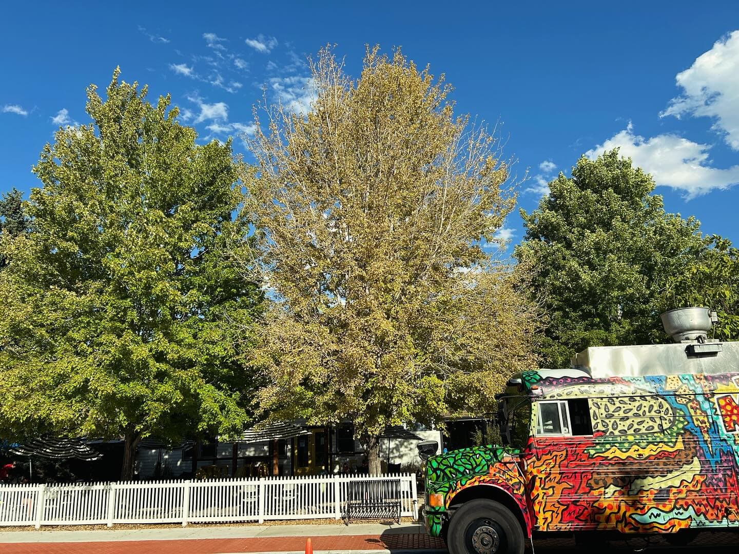 The Magic Food Bus, our painted school bus